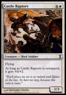 城の猛禽/Castle Raptors