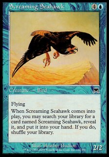 鳴き叫ぶウミタカ/Screaming Seahawk