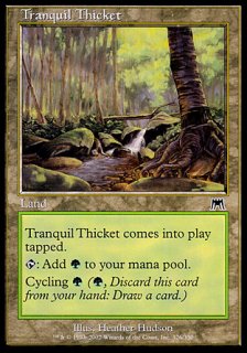 ʿФ/Tranquil Thicket