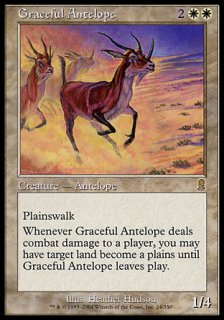 優雅なアンテロープ/Graceful Antelope