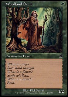 ӤΥɥ륤/Woodland Druid