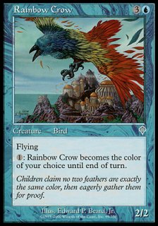 虹色カラス/Rainbow Crow