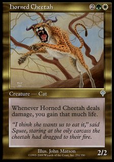 ͭѥ/Horned Cheetah