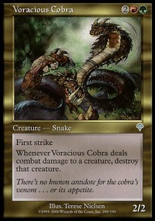 翩Υ֥/Voracious Cobra