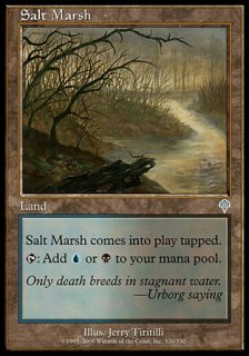塩の湿地/Salt Marsh
