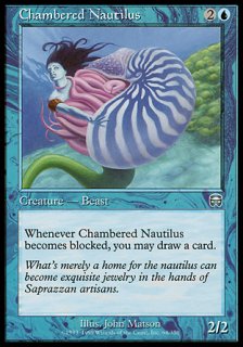 ६/Chambered Nautilus
