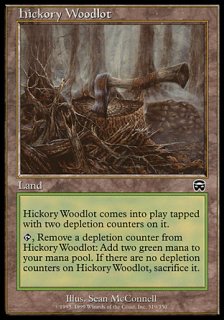 ҥå꡼ο/Hickory Woodlot