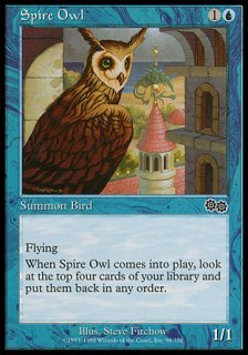 尖塔のフクロウ/Spire Owl