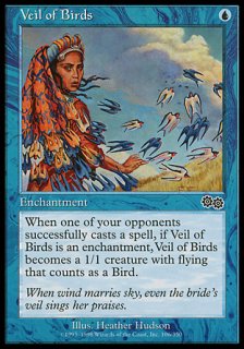 鳥のヴェール/Veil of Birds