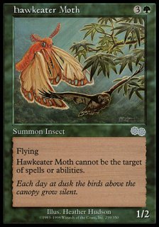 /Hawkeater Moth