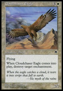 雲を追う鷲/Cloudchaser Eagle