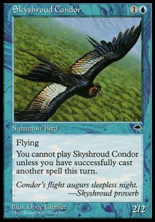 スカイシュラウドのコンドル/Skyshroud Condor