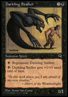 󥰡ȡ/Darkling Stalker