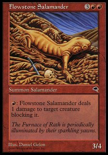 ήưФΥޥ/Flowstone Salamander