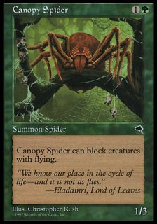 /Canopy Spider