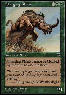 Ϳʤ륵/Charging Rhino
