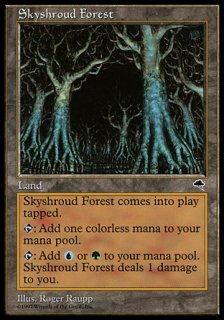 饦ɤο/Skyshroud Forest
