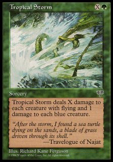 ǮӤ˽/Tropical Storm