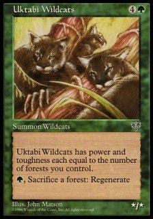 ӡ磻ɥå/Uktabi Wildcats
