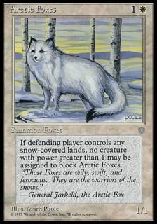 Arctic Foxes