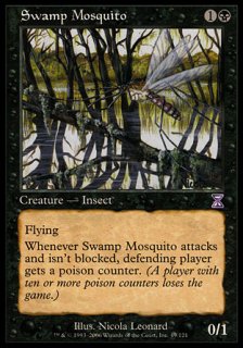 Ϥβ/Swamp Mosquito