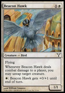 標の鷹/Beacon Hawk