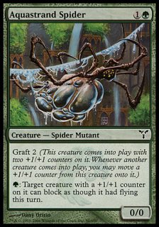水辺の蜘蛛/Aquastrand Spider