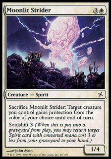 月明かりの徘徊者/Moonlit Strider