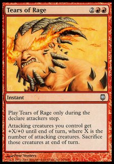 怒りの涙/Tears of Rage