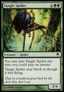 絡み森の蜘蛛/Tangle Spider