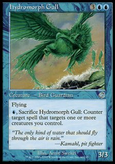 ハイドロモルフのカモメ/Hydromorph Gull