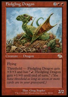 巣立つドラゴン/Fledgling Dragon