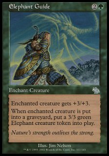 象の導き/Elephant Guide