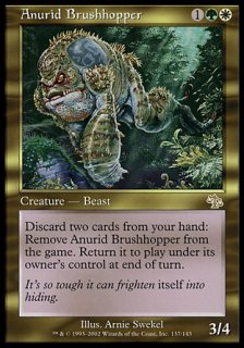 ķ̡ͥå/Anurid Brushhopper