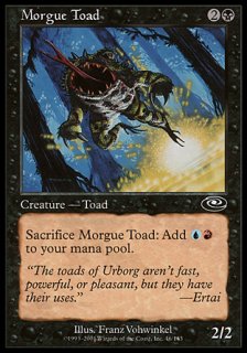 モルグのヒキガエル/Morgue Toad