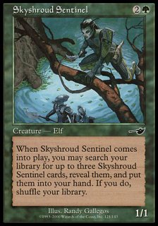 饦ɤ⾥/Skyshroud Sentinel