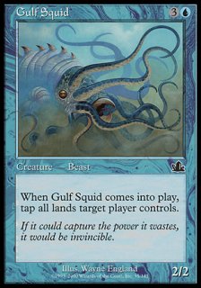入り海のイカ/Gulf Squid
