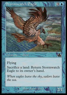 嵐を見守る鷲/Stormwatch Eagle