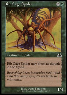 Ф/Rib Cage Spider