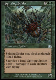 Ǥ/Spitting Spider