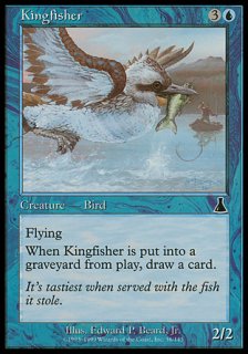 カワセミ/Kingfisher