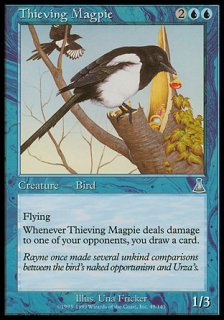 泥棒カササギ/Thieving Magpie
