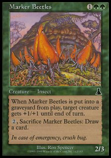 目印甲虫/Marker Beetles