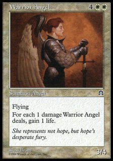 ŷ/Warrior Angel