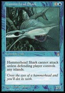 シュモクザメ/Hammerhead Shark
