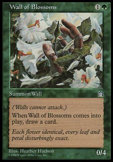 ֤/Wall of Blossoms