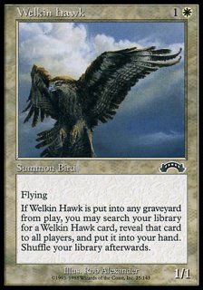天空の鷹/Welkin Hawk