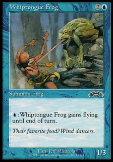 舌長カエル/Whiptongue Frog