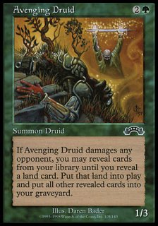 ɥ륤/Avenging Druid