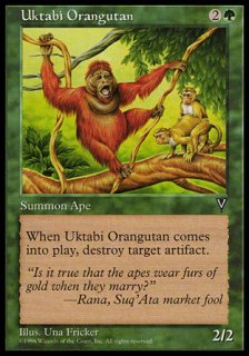 ӡ󥦡/Uktabi Orangutan